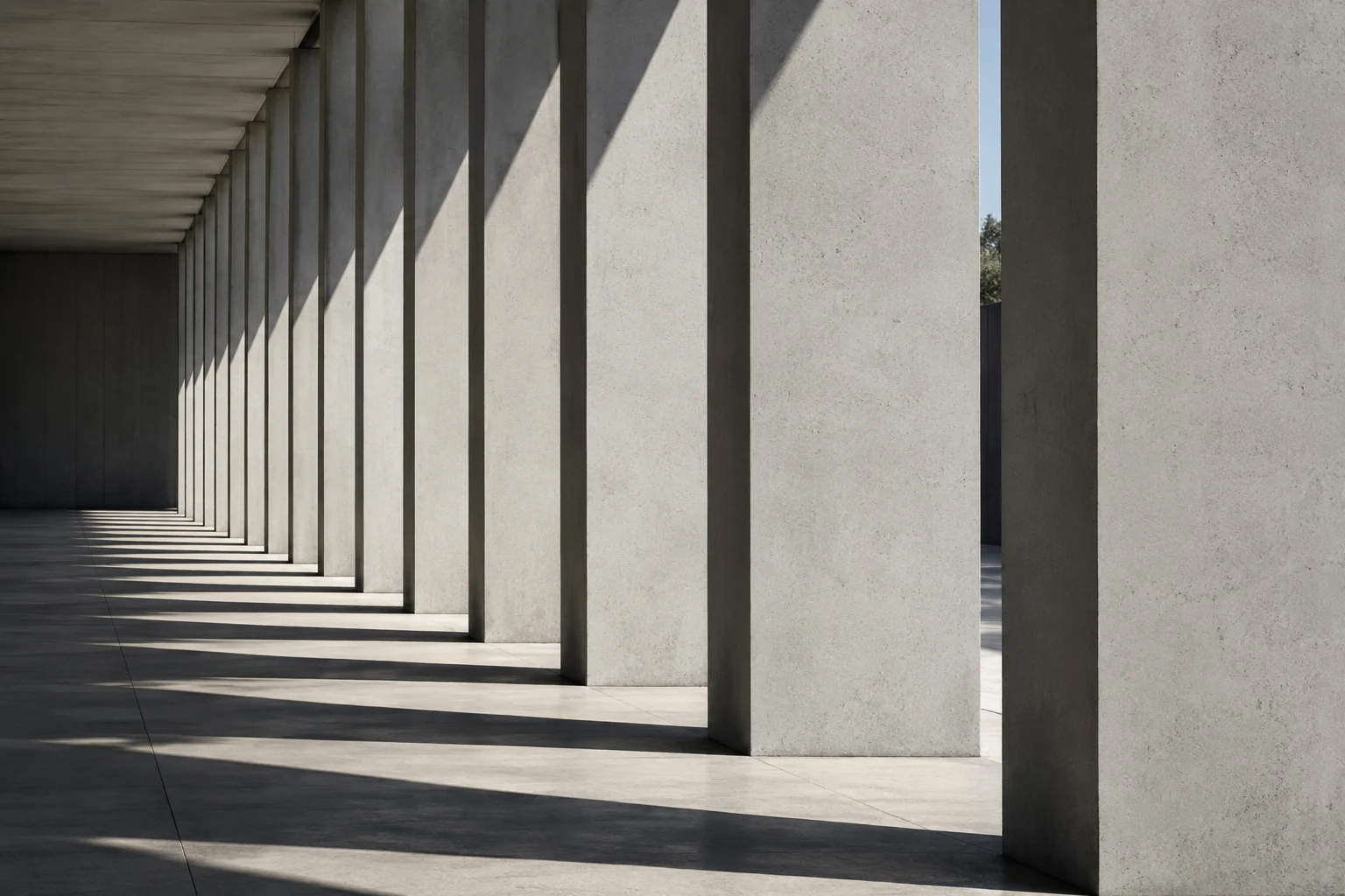 Rhythmic concrete columns and natural shadows; architectural image
